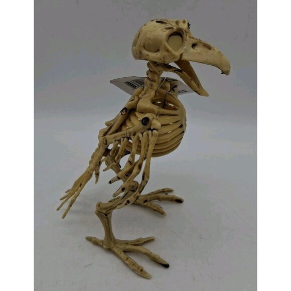 Halloween Skeleton Vulture Rat Spider Bones Props Decoration Horror Spooky Lot - Picture 10 of 14